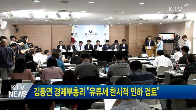 김동연 경제부총리 "유류세 한시적 인하 검토"