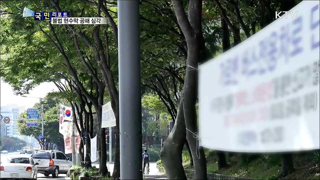 '가로수가 무슨 죄?'···불법 현수막 마구 걸어