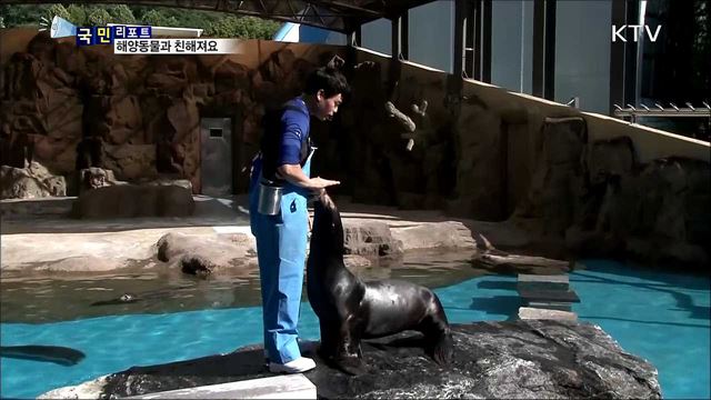 해양동물 어떻게 사나···서울대공원 생태설명회