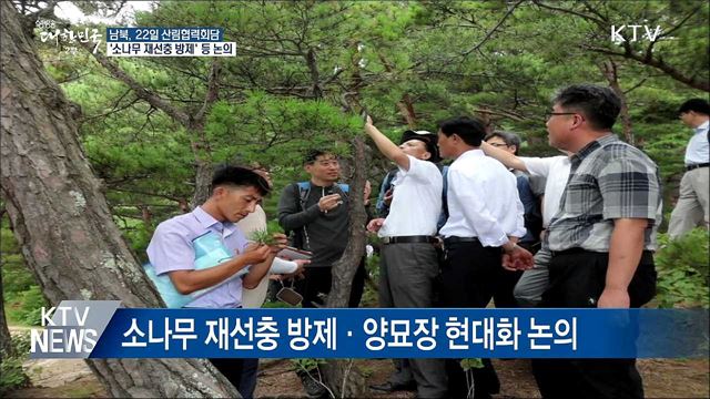 22일 남북 산림협력회담···'소나무 재선충 방제' 논의