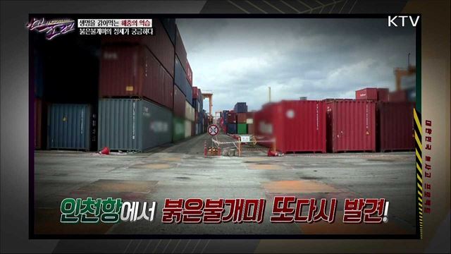 생명을 갉아먹는 해충의 역습