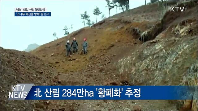 내일 남북 산림협력회담···'소나무 재선충 방제' 논의