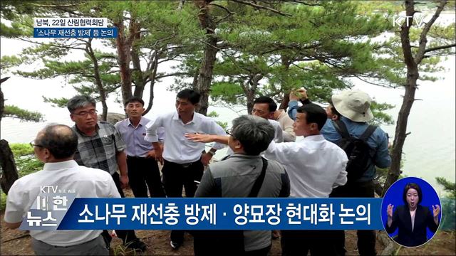 22일 남북 산림협력회담···'소나무 재선충 방제' 논의