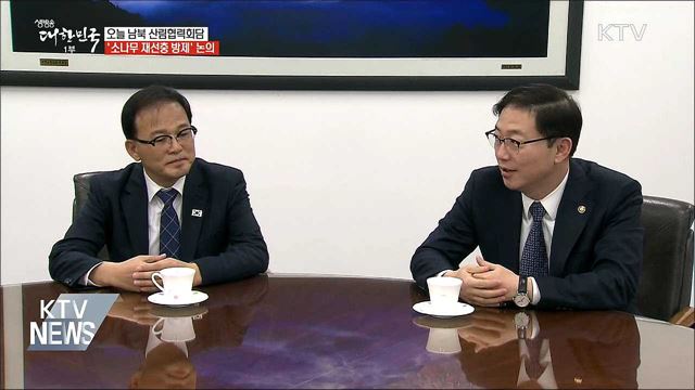 남북 산림협력회담···소나무 재선충 방제 논의