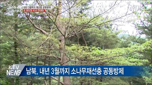 내년 3월까지 공동방제···北 양묘장 10곳 현대화