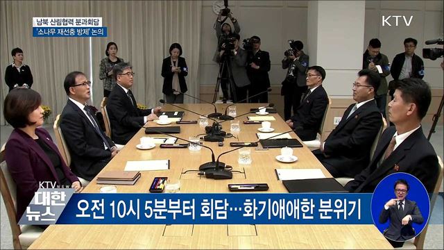 남북 산림회담···소나무 재선충 방제 논의