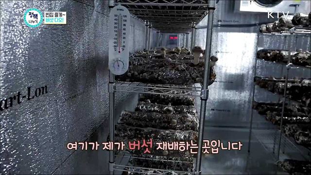 <정책&머니> 빈집의 변신은 무죄?!