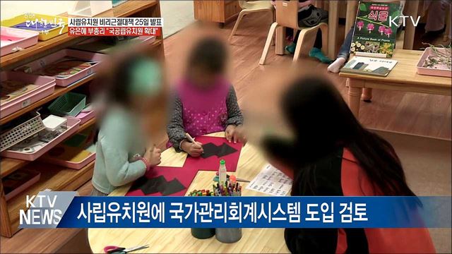 사립유치원 비리 근절 종합대책 25일 발표