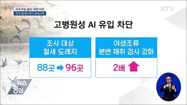 국내 유입 철새 '40만 마리'···AI 특별방역대책 추진