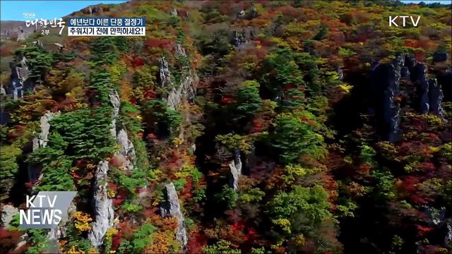예년보다 이른 단풍···추워지기 전 만끽하세요!
