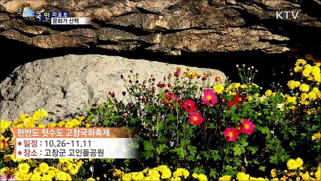 이 주의 문화가 산책