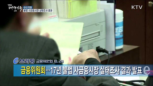 불법 사금융시장 실태조사 결과 [e 브리핑]