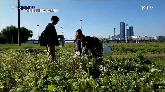 축제 후 버려지는 꽃···꽃다발 만들어 가요
