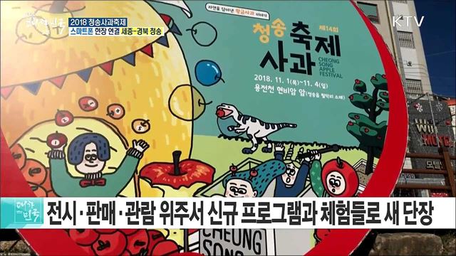 자연 담아낸 황금 사과! 2018 청송사과축제