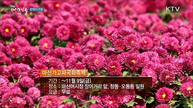 전국 최대의 가을 꽃 축제···'마산가고파국화축제' [문화브리핑]