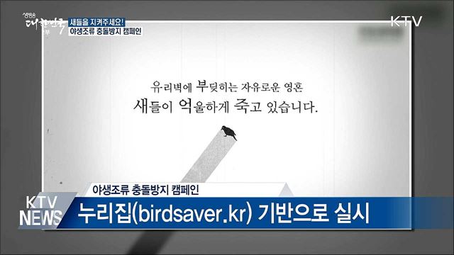 새들을 지켜주세요!···야생조류 충돌방지 캠페인