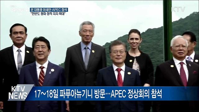 문 대통령, 아세안·APEC 참석차 13일 출국