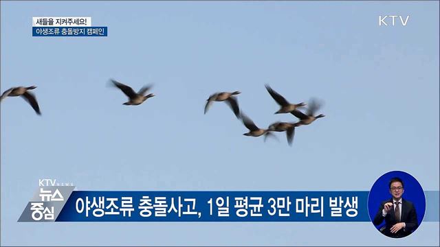 새들을 지켜주세요!···야생조류 충돌방지 캠페인