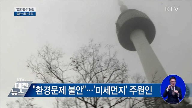 "결혼해야 한다" 응답 절반 이하 추락
