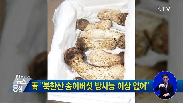 靑 "북한산 송이버섯 방사능 이상 없어"