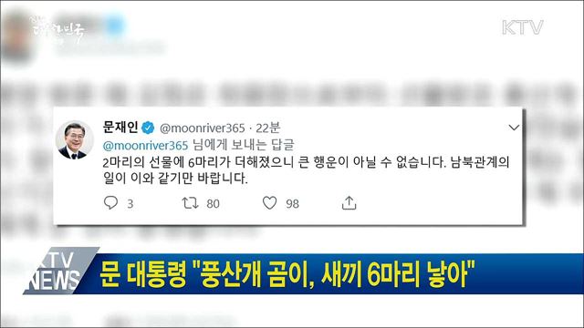 문 대통령 "풍산개 곰이, 새끼 6마리 낳아"