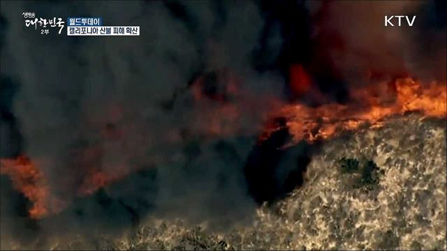 캘리포니아 산불 피해 확산 [월드 투데이]