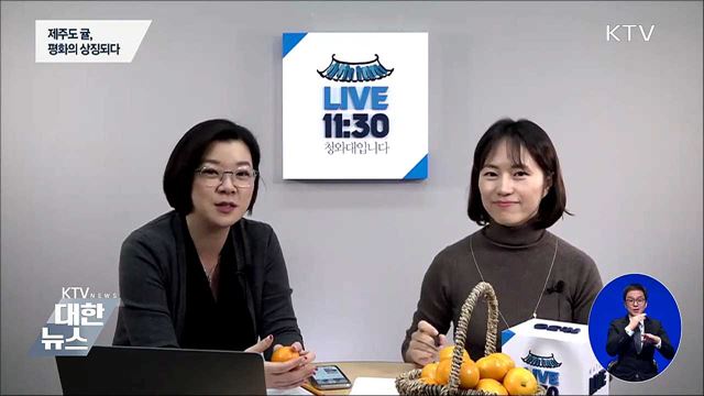 [주간 외신] 평화의 상징 된 제주도 귤