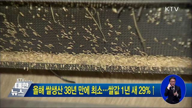 올해 쌀생산 38년 만에 최소···쌀값 1년 새 29%↑