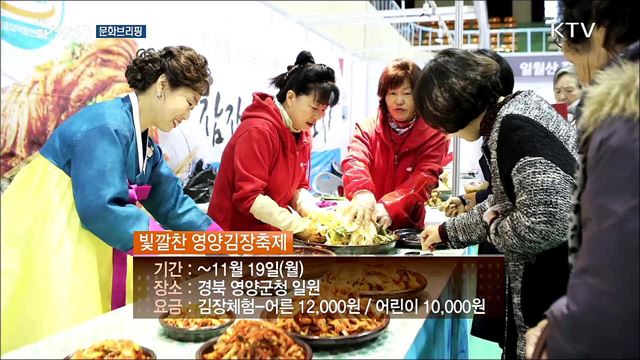 직접 담그는 김치 체험···'빛깔찬 영양김장축제' [문화브리핑]