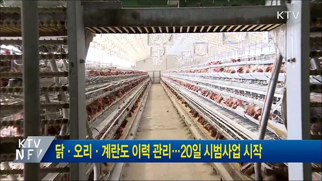 닭·오리·계란도 이력 관리···20일 시범사업 시작