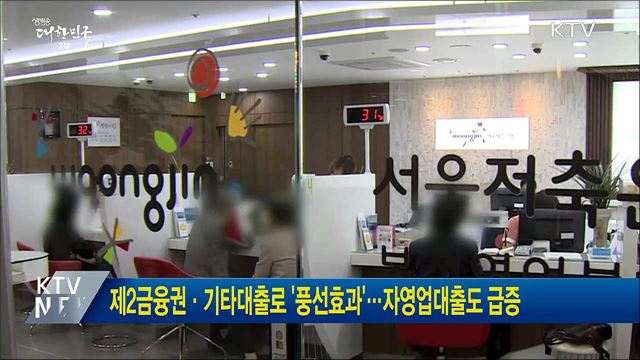 제2금융권·기타대출로 '풍선효과'···자영업대출도 급증
