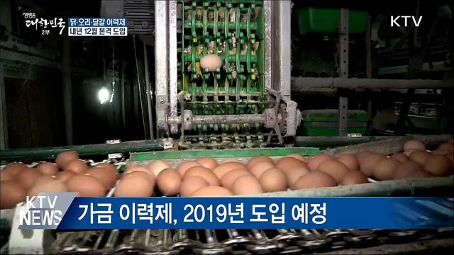 닭·달걀도 이력제···시범 사업 후 내년 12월 도입