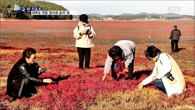대부도 갯벌, 경기도 첫 '람사르 습지' 등극