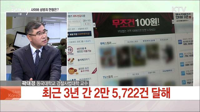 '사이버성폭력' 특별단속 100일···주요 성과와 남은 과제는?