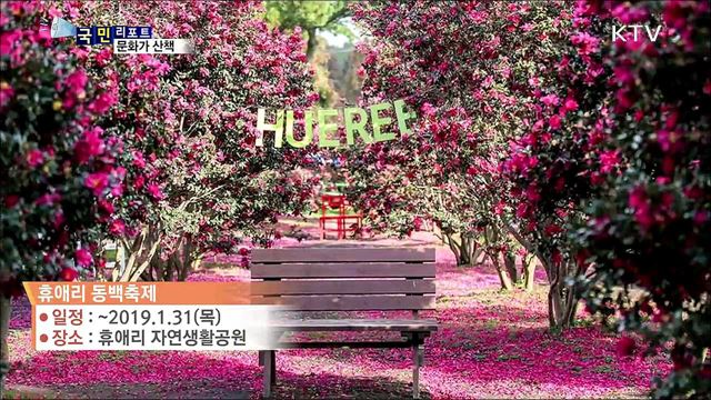 이 주의 문화가 산책