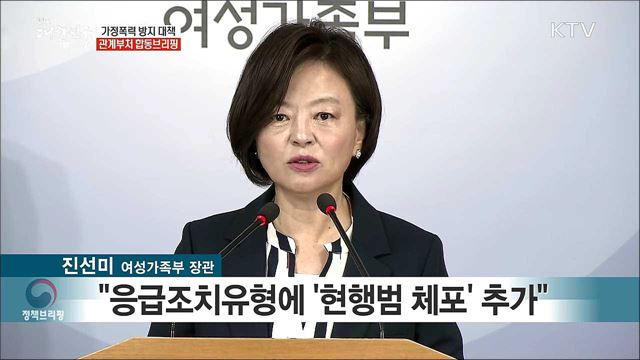 가정폭력 방지 대책 관계부처 합동브리핑 