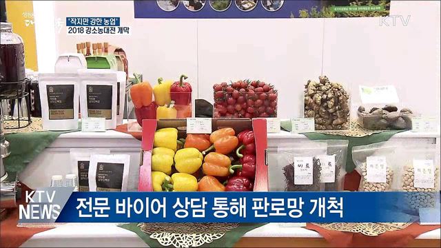 '작지만 강한 농업'···2018 강소농대전 개막