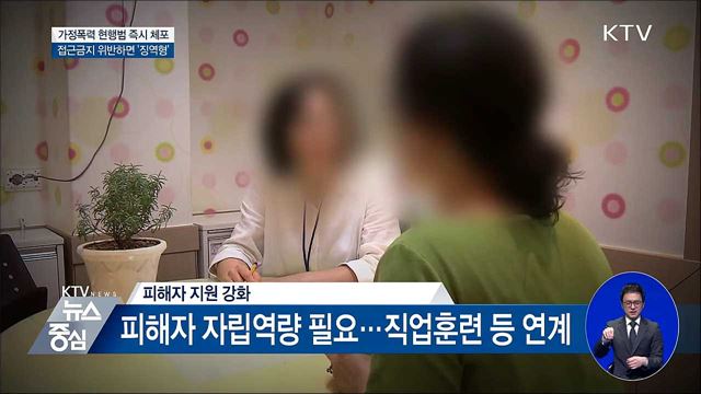 가정폭력 현행범 즉시 체포···접근금지 위반하면 '징역형'
