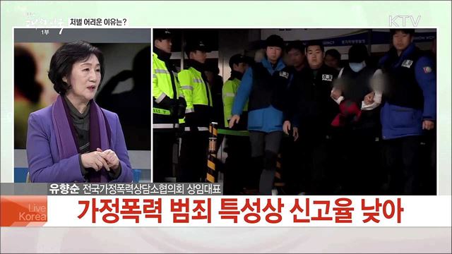 가정폭력 처벌 대폭 강화···방지 대책은?