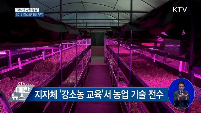 '작지만 강한 농업'···2018 강소농대전 개막
