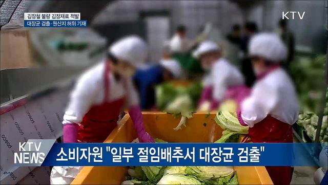 '위생 불량 김장재료' 제조업체 무더기 적발