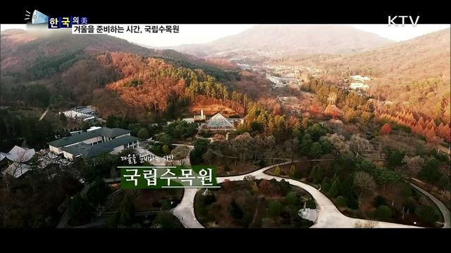 겨울을 준비하는 시간, 국립수목원 [한국의 美]