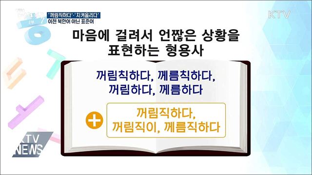 '꺼림직하다'·'치켜올리다', 이젠 북한어 아닌 표준어