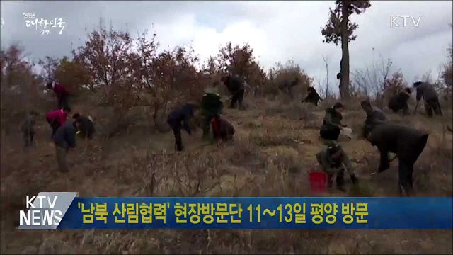 '남북 산림협력' 현장방문단 11~13일 평양 방문