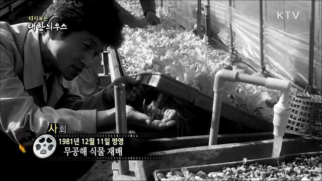 다시보는 대한늬우스 (81. 12. 11)