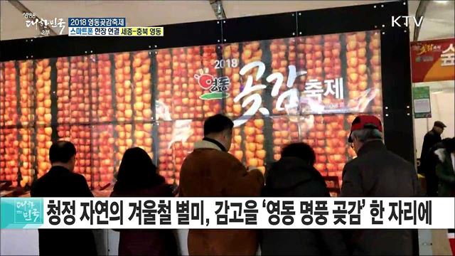 감 잡은 곶감 최고의 맛! 2018 영동곶감축제