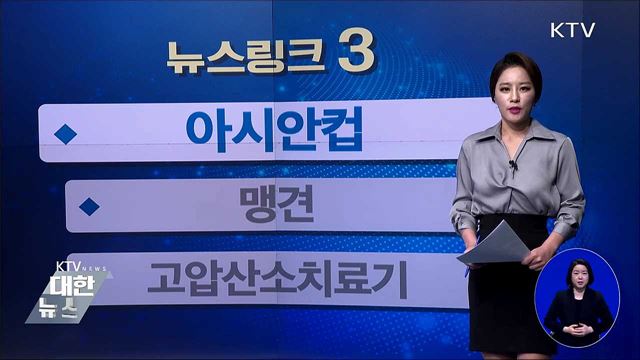 아시안컵 [뉴스링크]