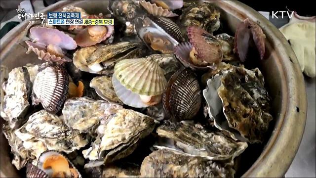 겨울철 별미 굴구이의 원조! 보령 천북굴축제