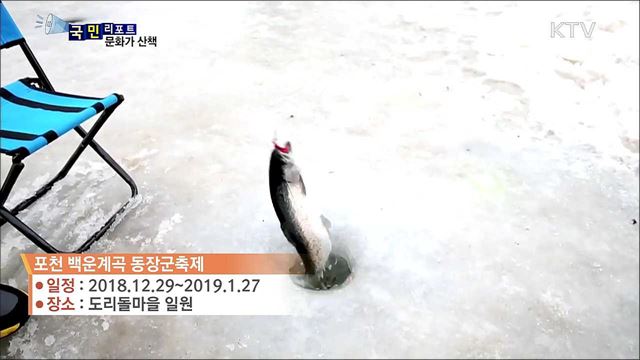 이 주의 문화가 산책