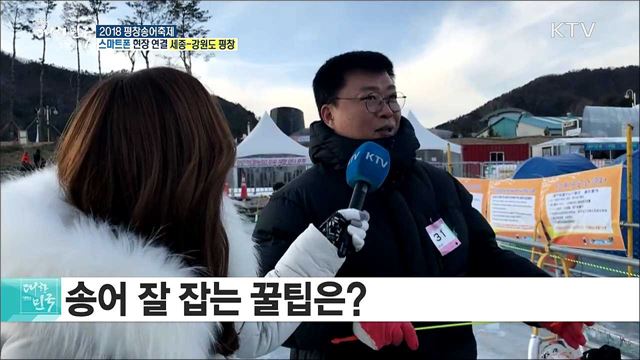 다양한 겨울체험이 가득! 2018 평창송어축제